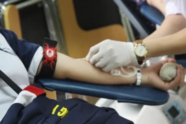 (Ảnh minh họa: Hồ Cầu/TTXVN)