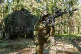 Ảnh minh họa. (Nguồn: AFP/TTXVN)