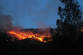 (Ảnh minh họa: Ly Kha/TTXVN)