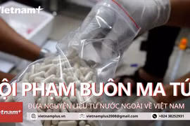 Video đột kích hang ổ sản xuất ma túy từ châu Âu của Trí 'cá voi'