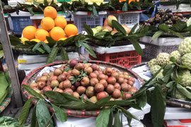 Mặt hàng mận hậu đầu mùa bắt đầu đổ bộ các chợ Hà Nội với mức giá khá cao. (Ảnh: Việt Anh/Vietnam+)