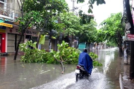 (Ảnh minh họa: Văn Đạt/TTXVN)