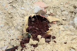 (Ảnh: Trần Lê Lâm/TTXVN)