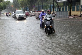 (Ảnh minh họa: Trần Lê Lâm/TTXVN)