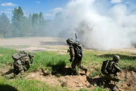 Binh sỹ Đức tham gia cuộc tập trận "Sabre Strike 2015" ở Pabrade, Litva ngày 12/6. (Nguồn: THX/TTXVN)