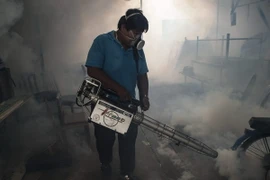 Nhân viên đô thị phun hóa chất diệt muỗi nhằm ngăn chặn sự lây lan của virus zika tại thủ đô Bangkok. (Nguồn: AFP/TTXVN)