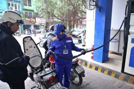 (Ảnh minh họa: Minh Quyết/TTXVN)