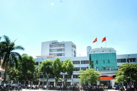 (Ảnh minh họa: Trọng Đạt/TTXVN)