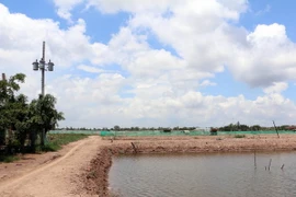 (Ảnh: Trần Thị Thu Hiền/TTXVN)