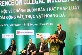 (Ảnh: Minh Sơn/Vietnam+)