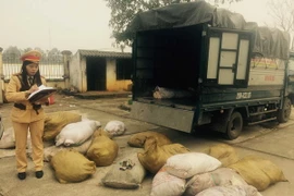 Lực lượng chức năng kiểm tra số bì lợn thối bị thu giữ. (Ảnh: Trịnh Duy Hưng/TTXVN)