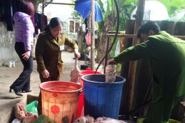 Cao Bằng: Phát hiện 200kg vịt không rõ nguồn gốc sắp mang đi tiêu thụ