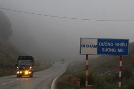 Ảnh chỉ có tính minh họa. (Ảnh: Công Luật/TTXVN)