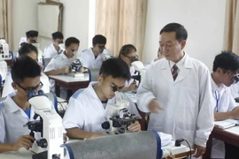 Ảnh chỉ có tính minh họa. (Ảnh: Quý Trung/TTXVN)