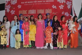 Cán bộ nhân viên Đại sứ quán và cơ quan đại điện Việt Nam tại Mexico tham gia văn nghệ mừng Xuân. (Ảnh: Việt Hùng/Vietnam+)