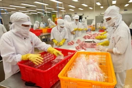 Chế biến thủy sản xuất khẩu. (Ảnh: An Sinh/TTXVN)