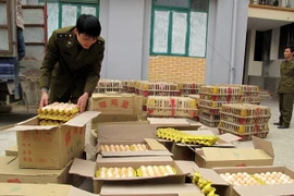 Ảnh chỉ có tính minh họa. (Ảnh: Minh Tâm/TTXVN)