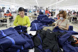 May hàng xuất khẩu sang thị trường Nhật Bản. (Ảnh: Trần Việt/TTXVN)