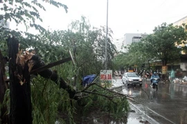 (Ảnh minh họa: Tuấn Anh/TTXVN)