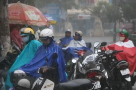 (Ảnh minh họa: Công Mạo/TTXVN)