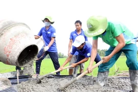 (Ảnh minh họa: Trần Thị Thu Hiền/TTXVN)