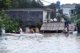 (Ảnh minh họa: Đỗ Bình/TTXVN)