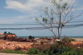 Phú Quốc: Giá đất tăng cao ngất ngưởng, người dân đua nhau bán