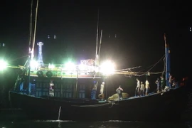 (Ảnh minh họa: Nguyên Lý/TTXVN)