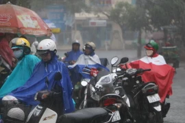 (Ảnh minh họa: Công Mạo/TTXVN)