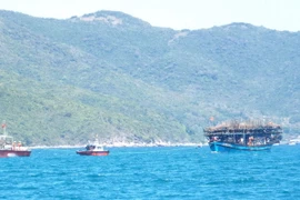 (Ảnh minh họa: Nguyên Lý/TTXVN)