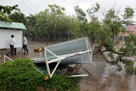 (Ảnh minh họa: Nguyễn Thanh Liêm/TTXVN)