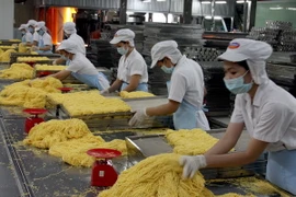 (Ảnh minh họa: Đình Huệ/TTXVN)