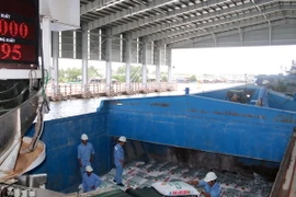 (Ảnh minh họa: Kim Há/TTXVN)