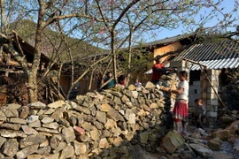 Ngôi nhà truyền thống của người H’Mông trên cao nguyên đá Đồng Văn. (Ảnh: Thanh Hà/TTXVN)