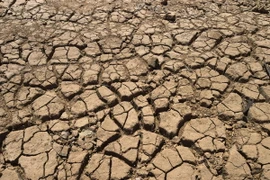 Ảnh minh họa. (Nguồn: AFP/TTXVN)