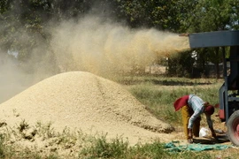 Ảnh minh họa. (Nguồn: AFP/TTXVN)