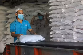 Công ty TNHH Một thành viên Xuất nhập khẩu-Thương mại tổng hợp Mỹ Linh (Cái Bè, Tiền Giang) duy trì hoạt động nhờ có phương án phòng, chống dịch hiệu quả. (Ảnh: Minh Trí/TTXVN)