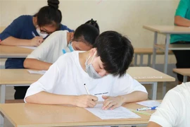 Ảnh minh họa. (Ảnh: Bích Huệ/TTXVN)