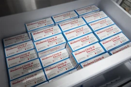 Vaccine ngừa COVID-19 của hãng dược Moderna, Mỹ. (Ảnh: AFP/TTXVN)