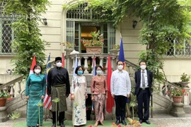 Các Đại sứ ASEAN tại Roma. (Ảnh: Trương Duy/TTXVN)