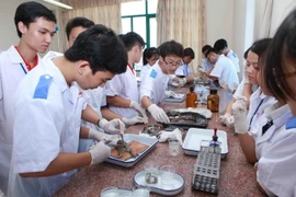 Giờ thực hành trên động vật của sinh viên trường Đại học Y Dược Hải Phòng. (Ảnh: Quý Trung/TTXVN)