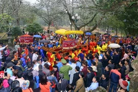 Ảnh minh họa. (Ảnh: Quang Quyết/TTXVN)