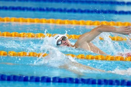 Kình ngư Huy Hoàng giành HCV SEA Games 30. (Ảnh: Vietnam+)