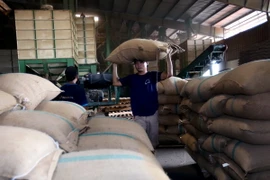 (Ảnh: Vũ Sinh/TTXVN)