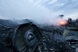 Hiện trường vụ máy bay MH17. (Nguồn: TASS)