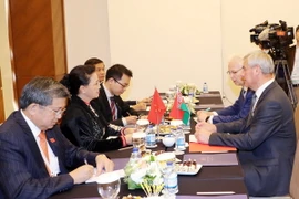 (Ảnh: Trọng Đức/TTXVN)