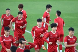 (Ảnh: Hoàng Linh/TTXVN)