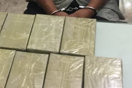 Ảnh minh họa. (Ảnh: TTXVN phát)