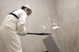 Ảnh minh họa. (Nguồn: tnp.sg)