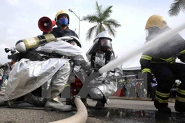 (Ảnh minh họa: Trần Lê Lâm/TTXVN)